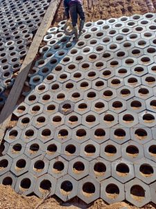 Khuôn Trồng Cỏ Lục Giác - Giải Pháp Xanh Cho Mọi Không Gian